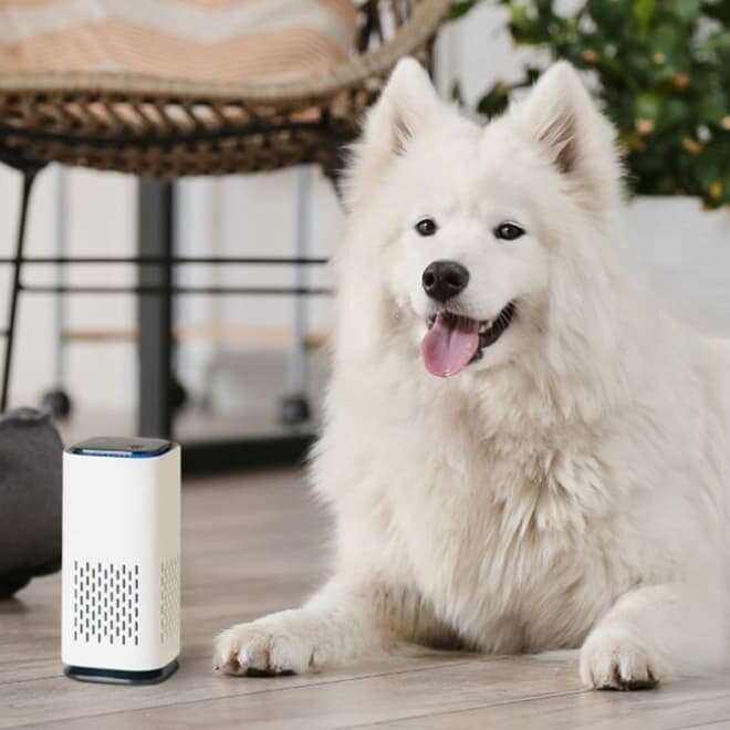 VacuuMax image
